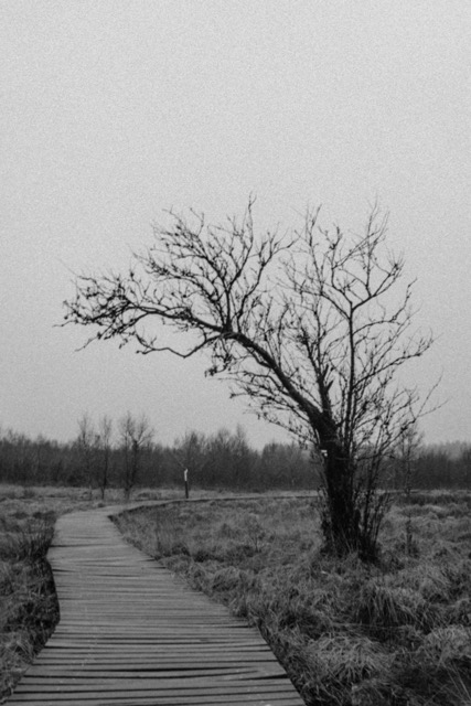 Film photography