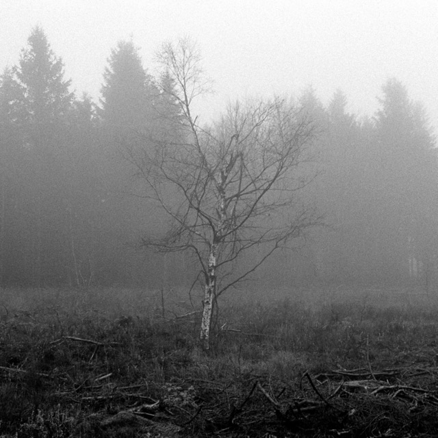 Film photography
