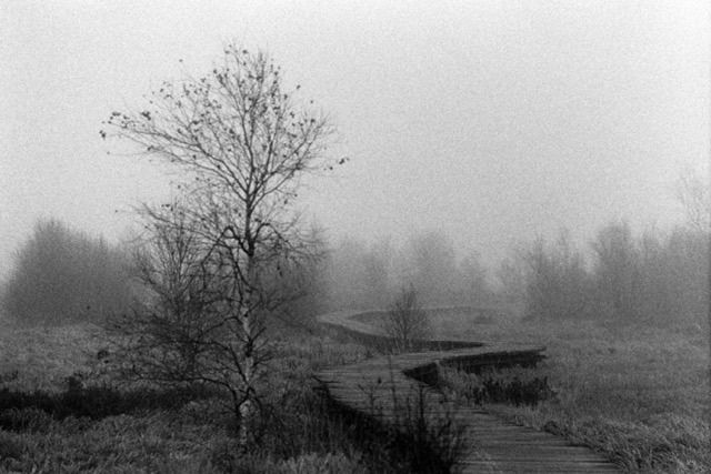 Film photography