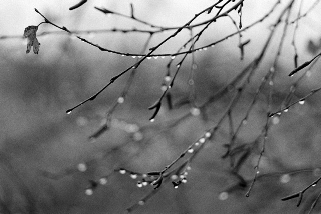 Film photography