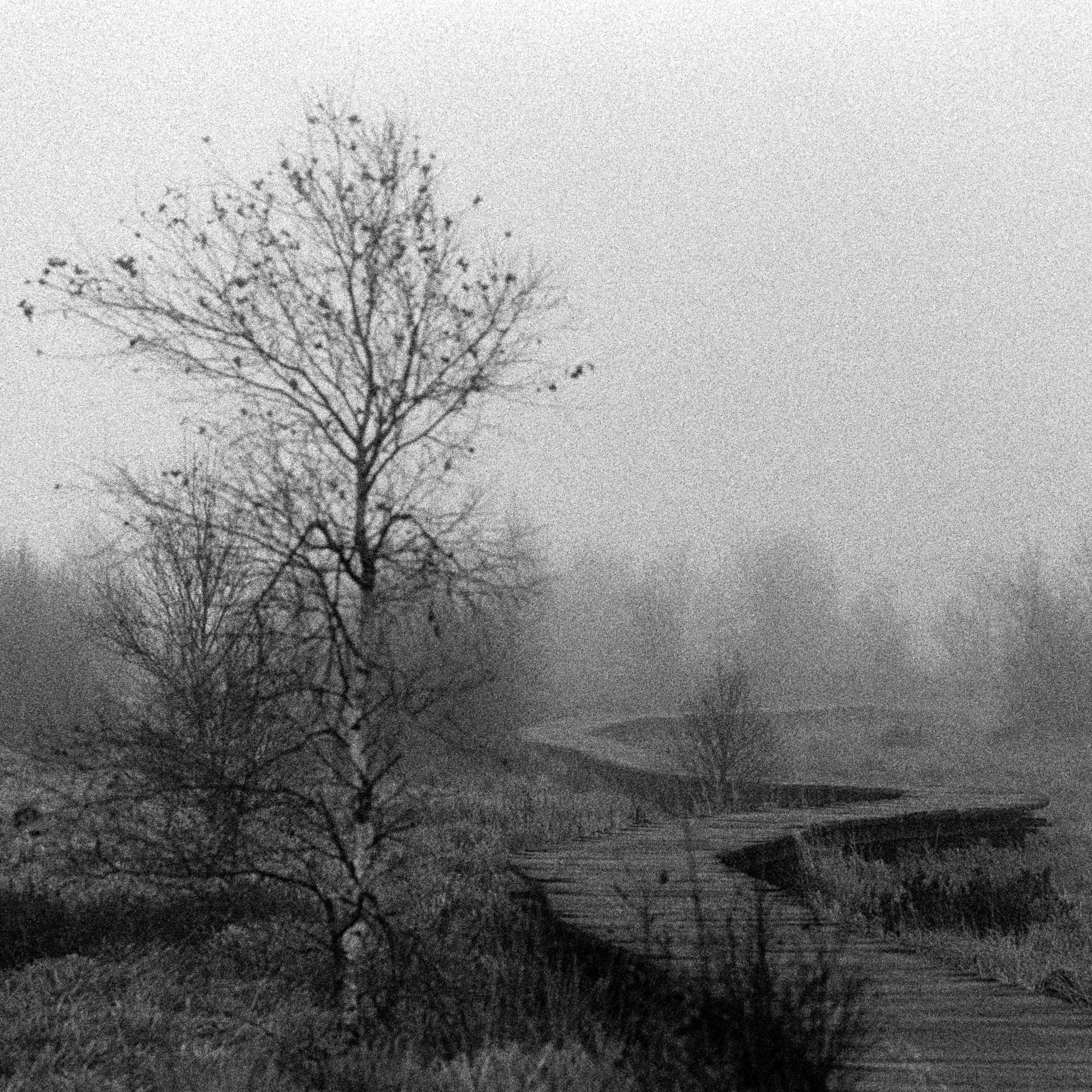Film photography