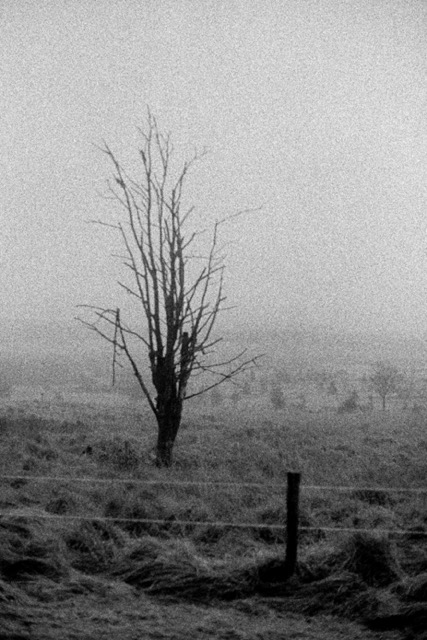 Film photography