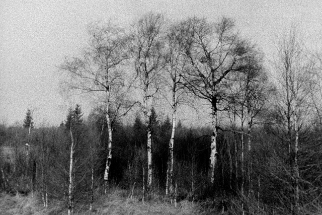 Film photography