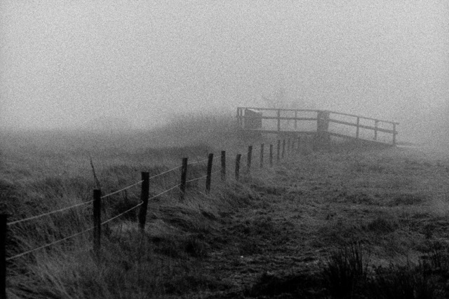 Film photography