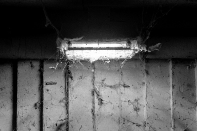 Film photography